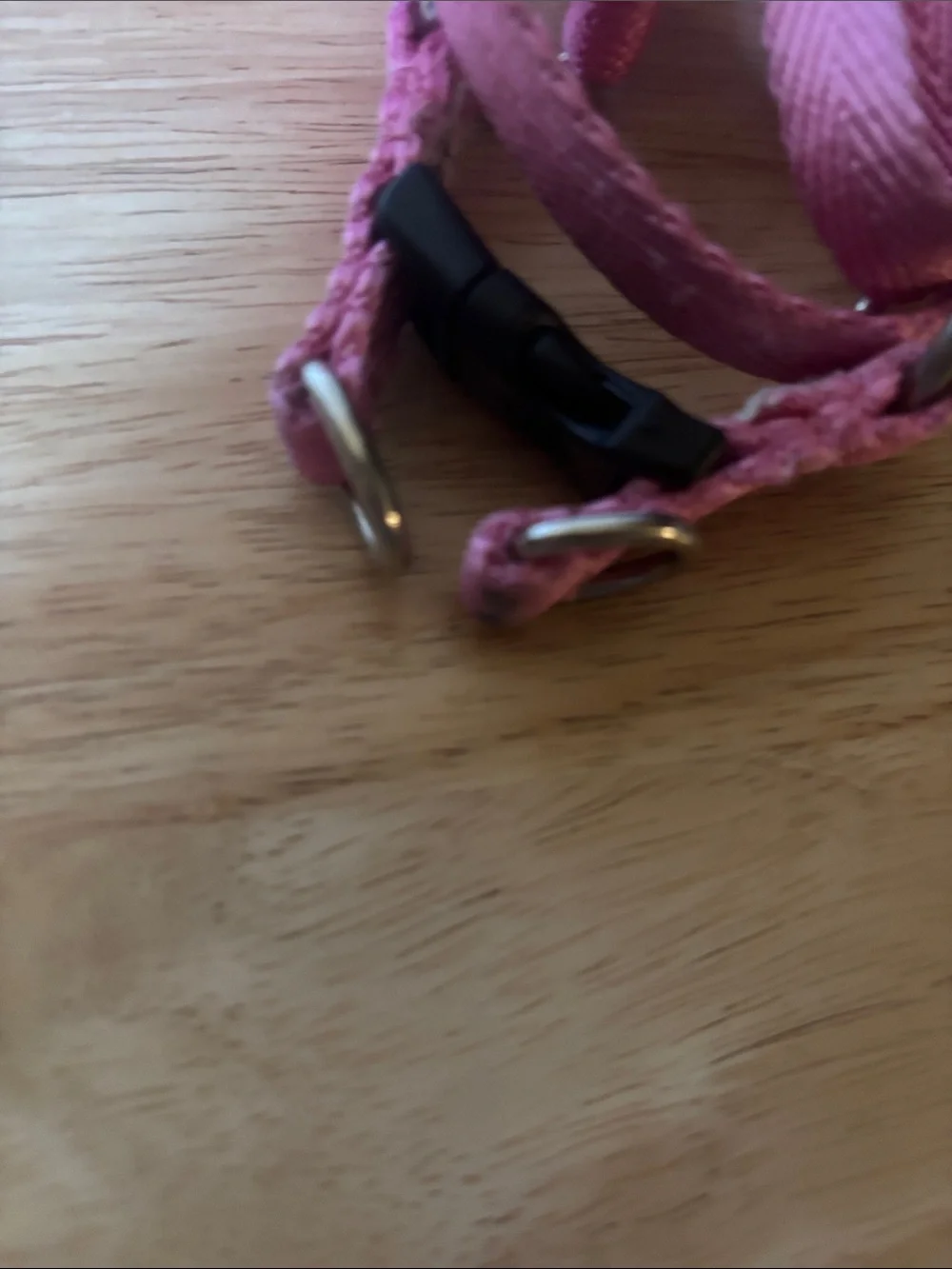 Set of 2 Small Dog Harness’s and Pink Leash